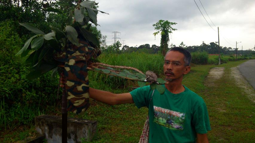 Terong, Perak -  270313 (5)