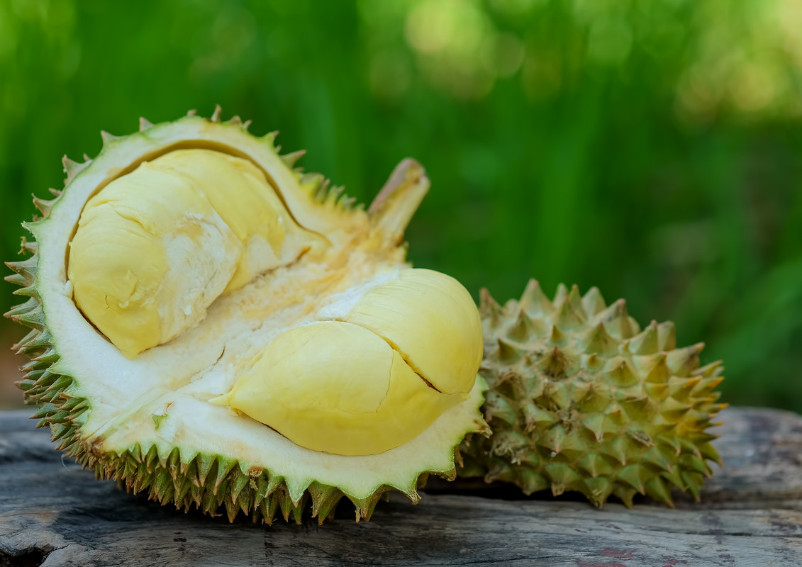 buah durian yang sudah dibuka