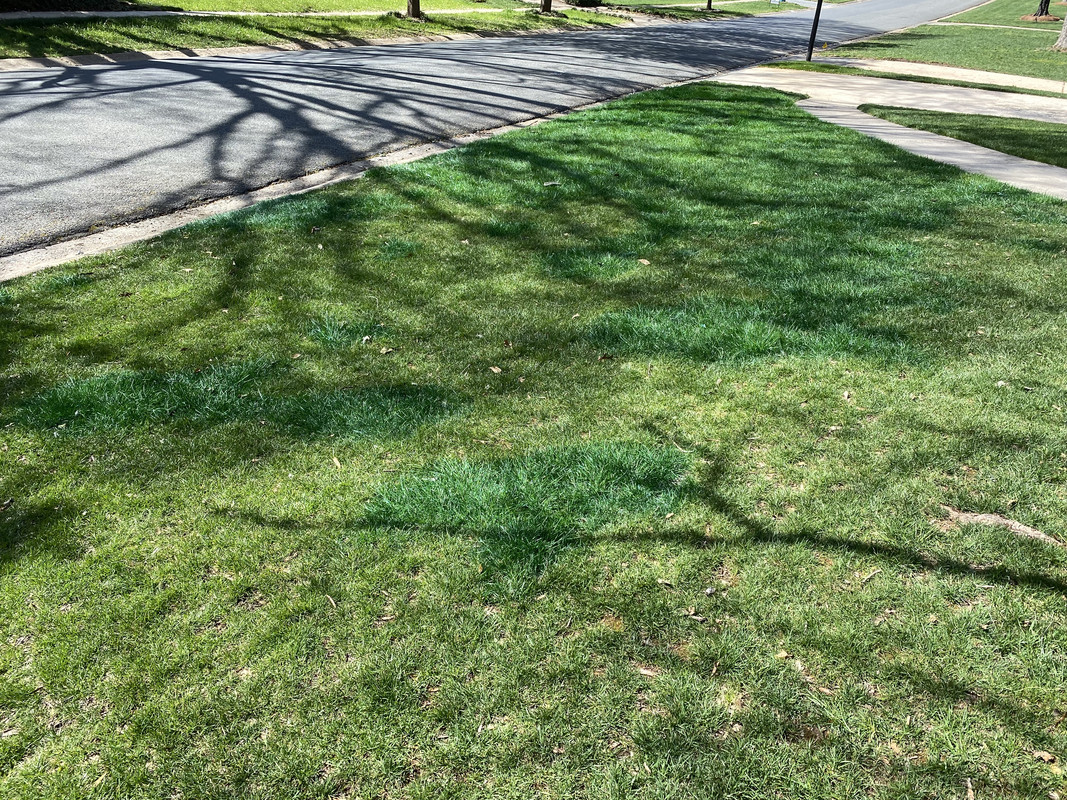 D4AEAB5A-DB4E-4FB4-A346-5BD70FB21856