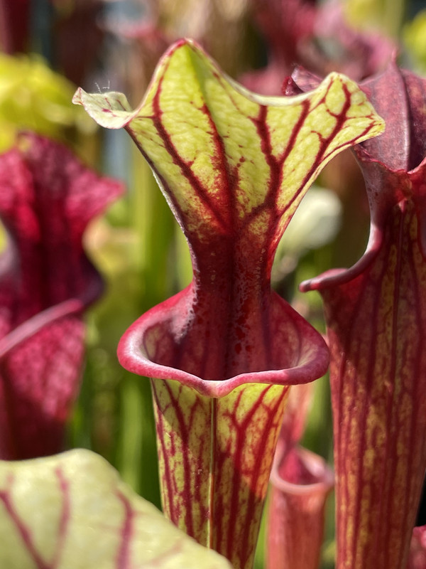 E1BCAA6E-037E-4C69-970C-8E026430306A