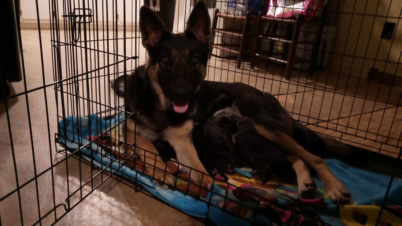 6058F113-4846-46EC-9360-924047B26973