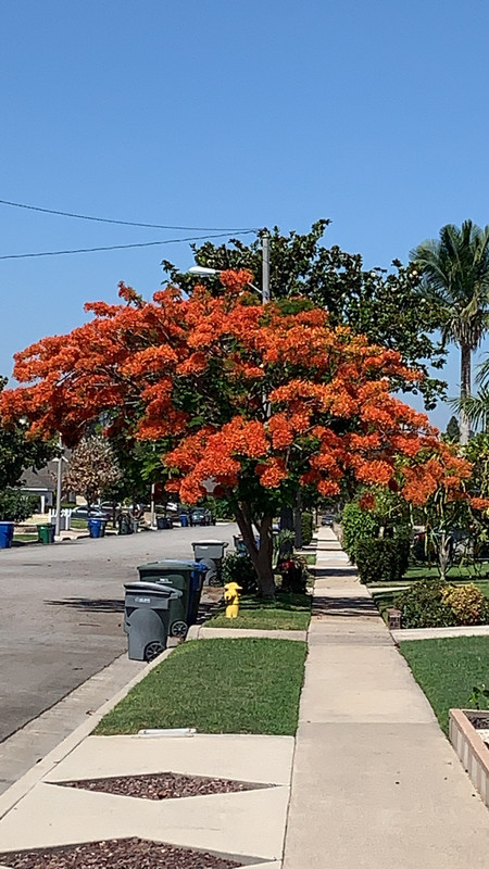 9F964793-145F-48A9-8A52-A5427235162C