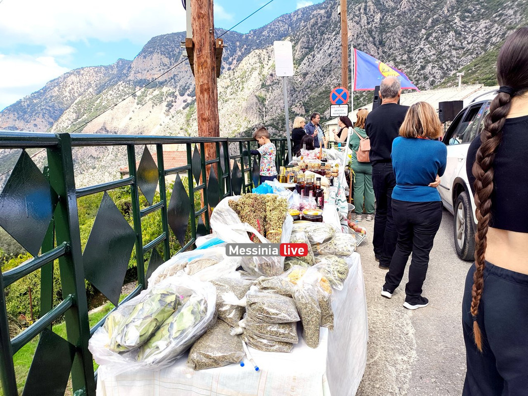 LADASIMG-20251012-123935