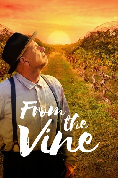 from-the-vine-2019-1080p-web-h264-naisu.