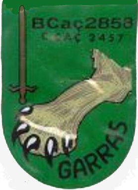 CCac2457