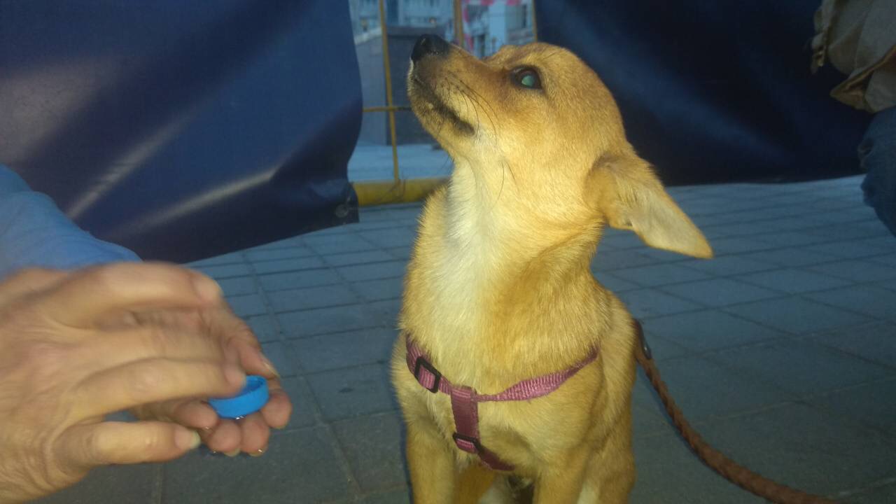 EC7D5128-ECB3-4C64-960B-5F60C76783A5