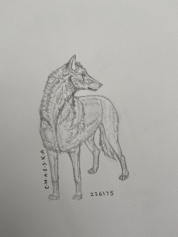 9FF2C311-34DC-4EC3-8E02-6AA2A334CEA3