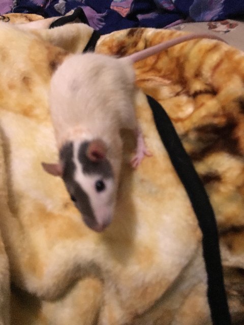 3BEFB3CA-5FE1-4EC7-BF52-A04AC08CB82A