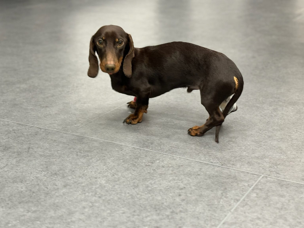 [Image: IMG-20240214-WA0006.jpg]