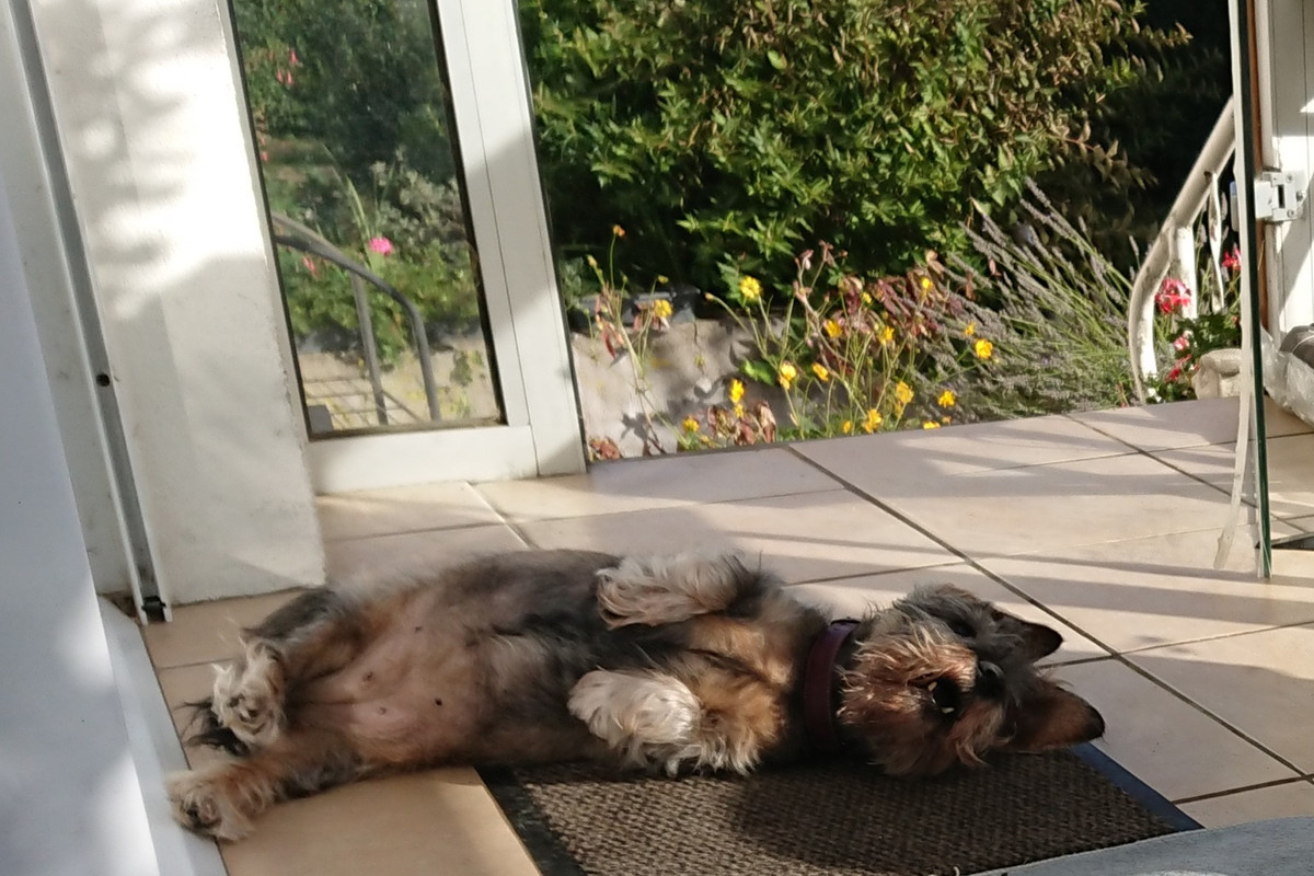 [Image: DSC-2023-10-17-2.jpg]