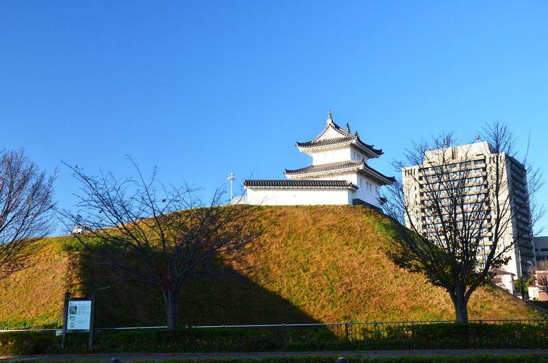 Utsunomiya-13-11-2024 - Japón y sus Pueblos-2024 (13)