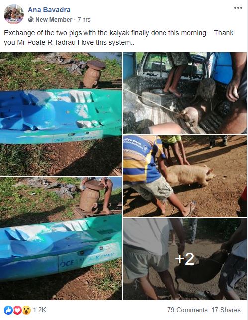 Kayak-and-pig-exchange