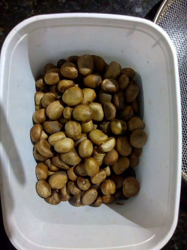 WhatsApp Image 2020-12-20 at 01.12.32 (19)