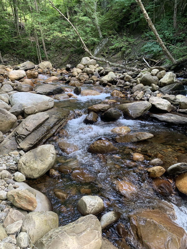 85139AF2-F4DC-4069-84C8-C2F24EB9CE16