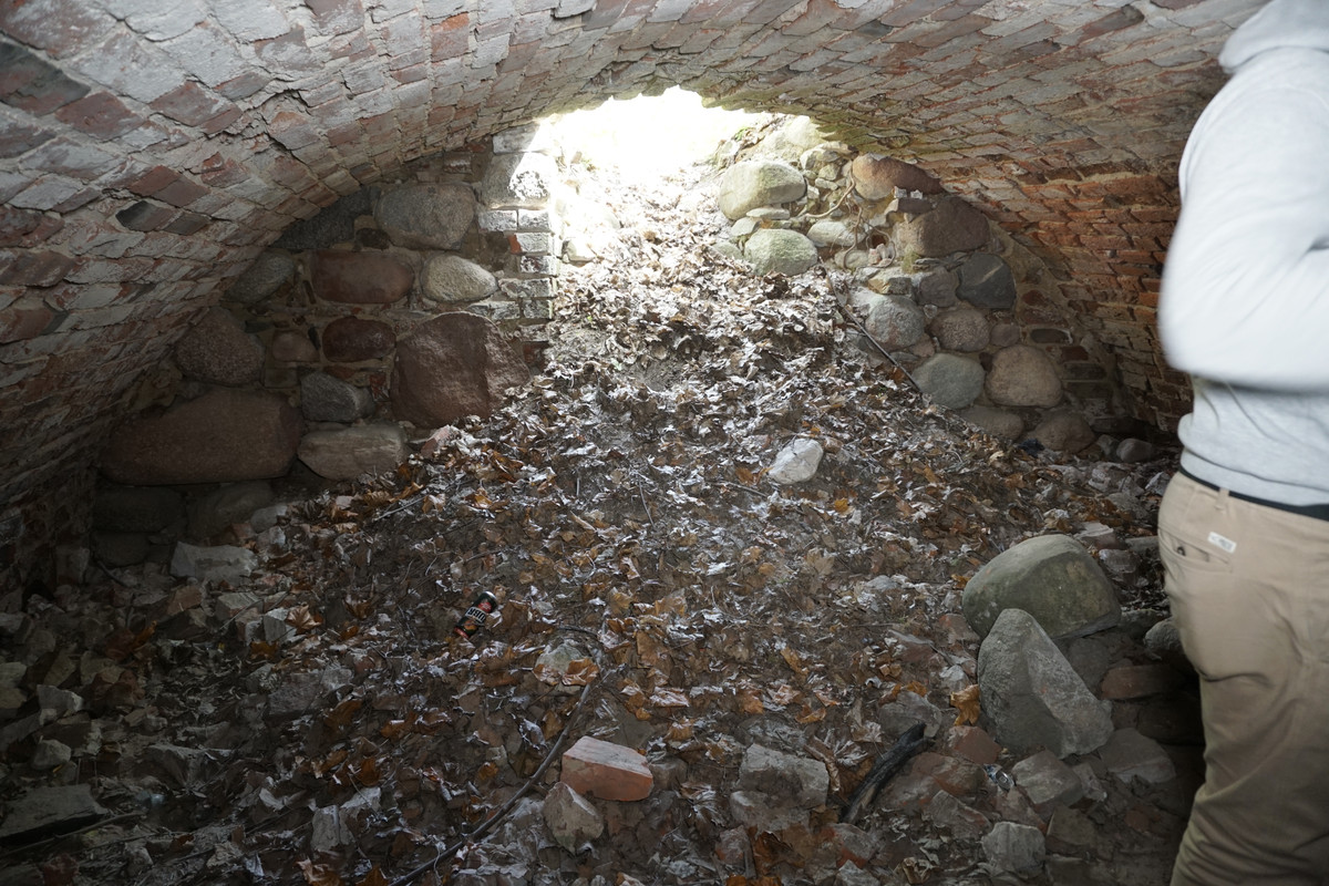 20.06 - DSC07994 (zbychowiec)