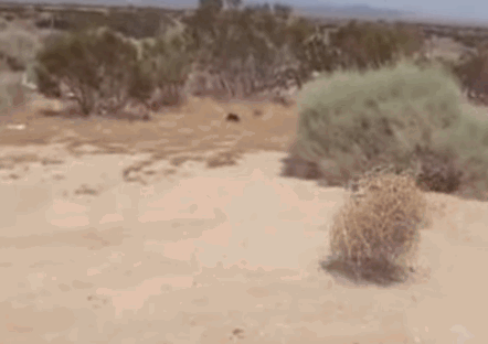 4AF93AEE-3449-442C-A306-C793849816A3