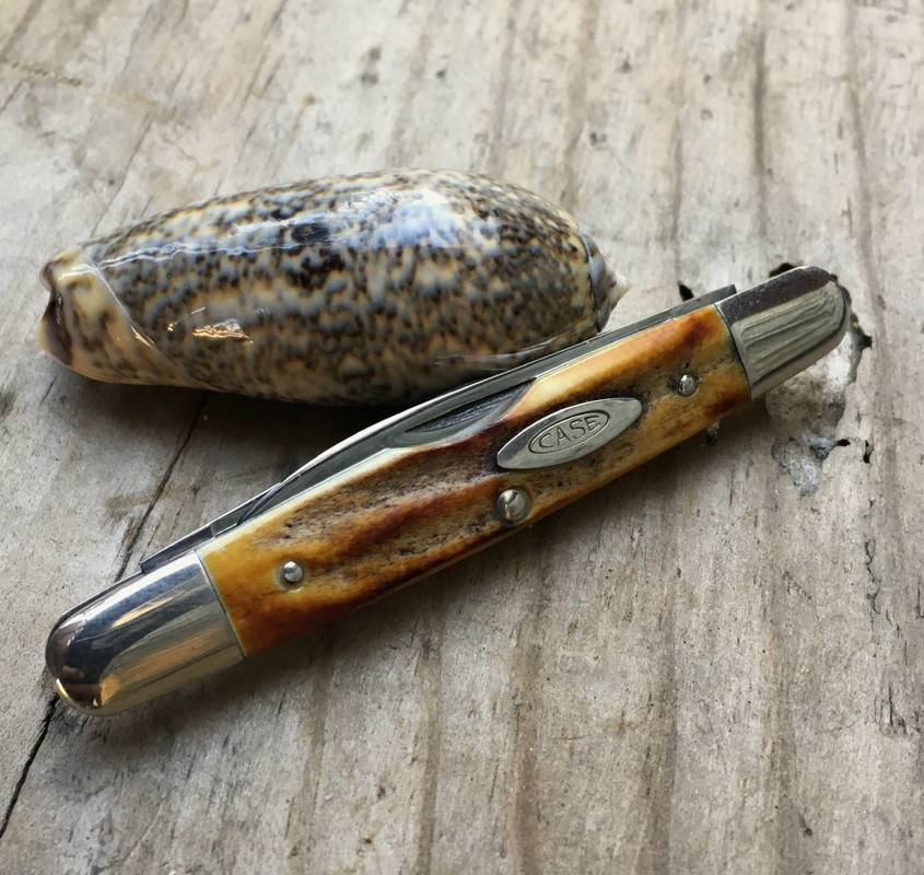 3F8AFB9E-A7E6-4D1E-856C-5E50392EF1C6