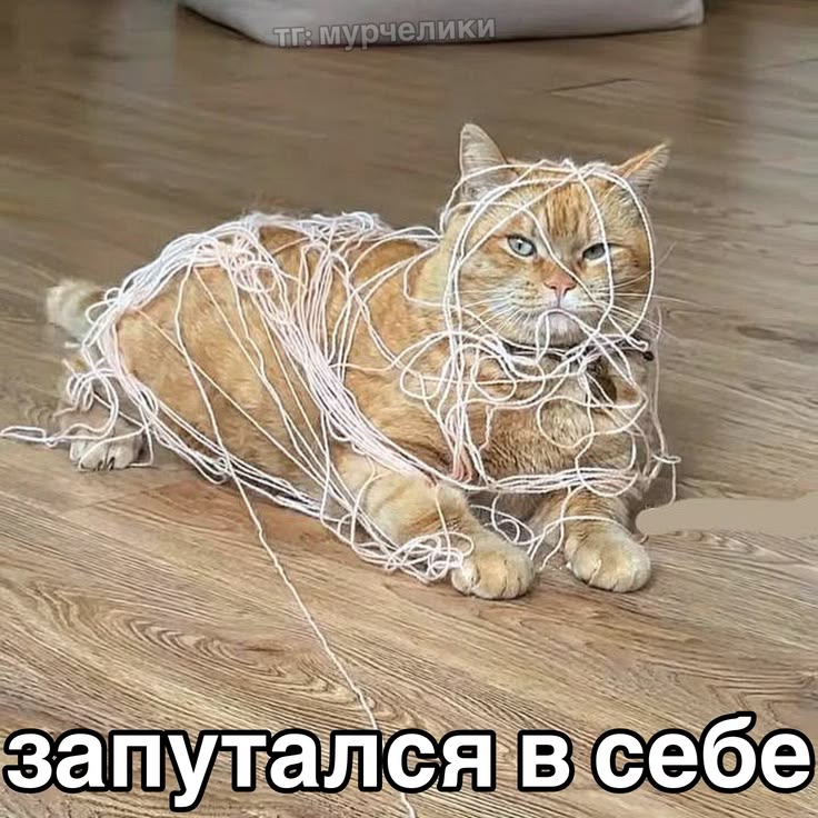 bcec4561c86ef741acaa4236b0258cd1