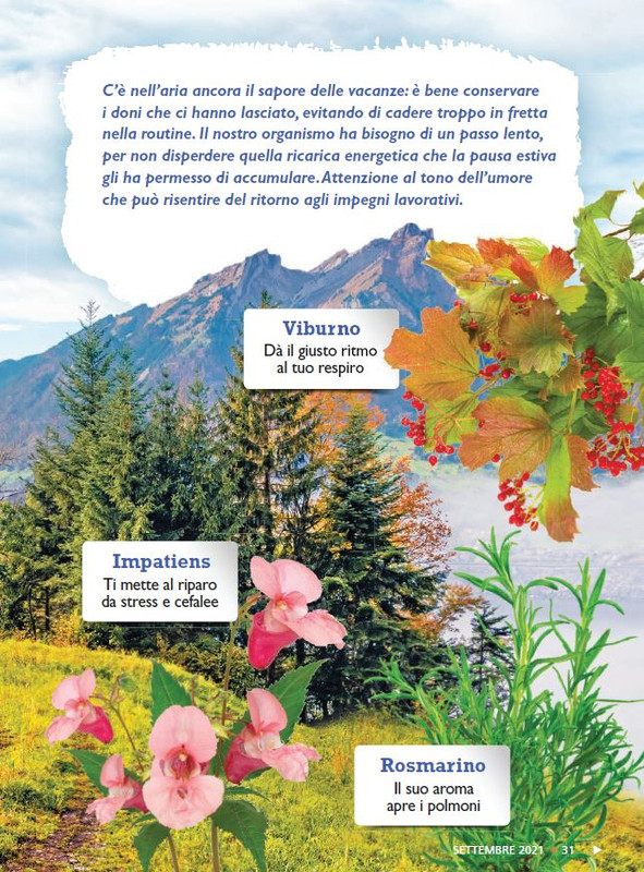 Sal Nat Set 2021 (6)