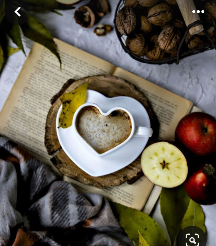 Screenshot_20230909_005213_Pinterest