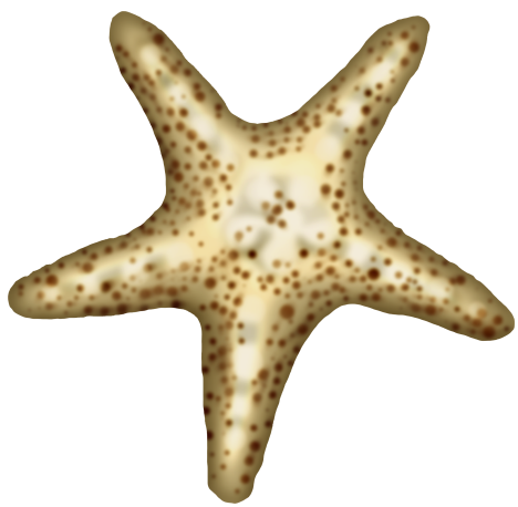 BIBI-UNDER THE SEA  ELEMS (14)
