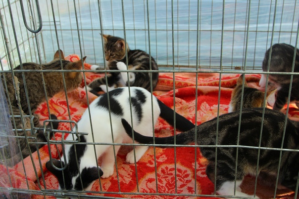 F74FCF1C-723A-4765-BBB1-D8D32AE9CD55