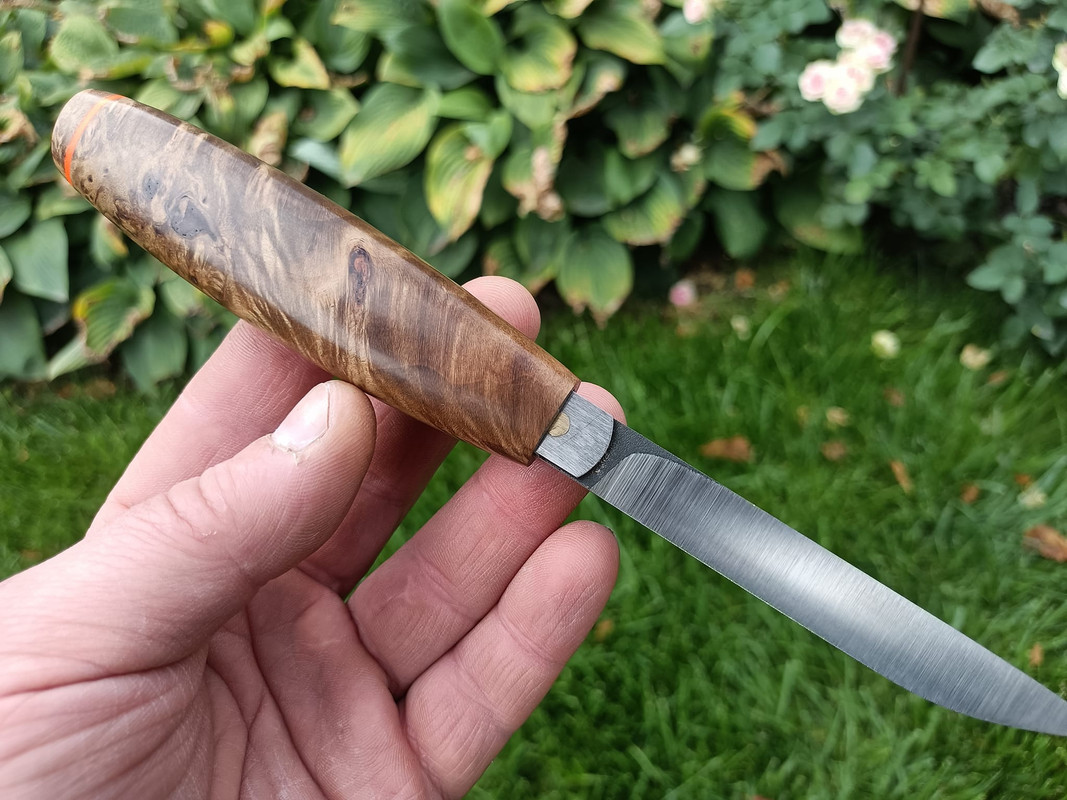 459253494_3603210073262023_194260391479201644_n