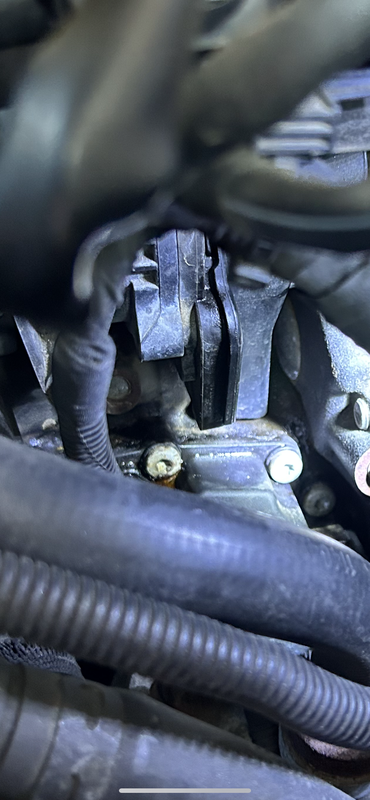 DB9D9354-D3C7-4718-94C6-FABA16F599DB