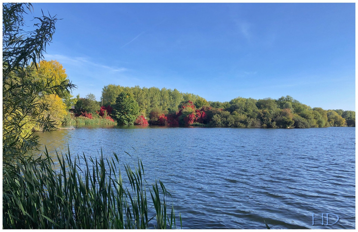 autumn-river-HD.jpg