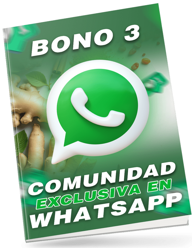 Bono 3