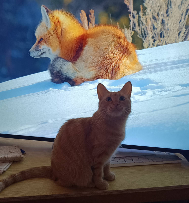 IMG 8615f79ad615da5ea87cbe3fa1c13439 V