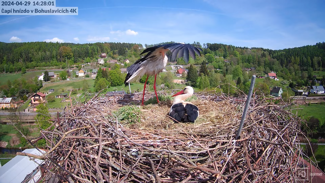 Tiešraidē no uzņēmuma KARA stārķa skursteņa Bohuslavicē pie Trutnovas 10-56-11 screenshot