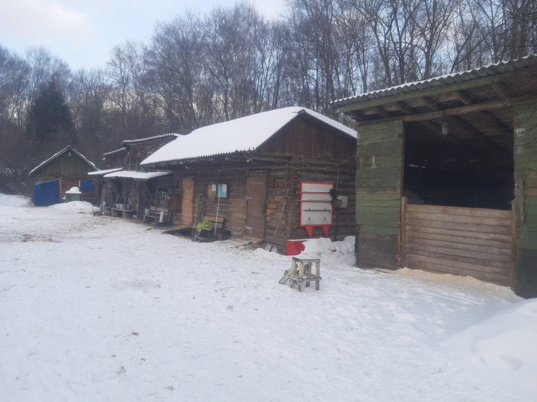 WhatsApp Image 2021-03-10 at 09.27.14 (3)