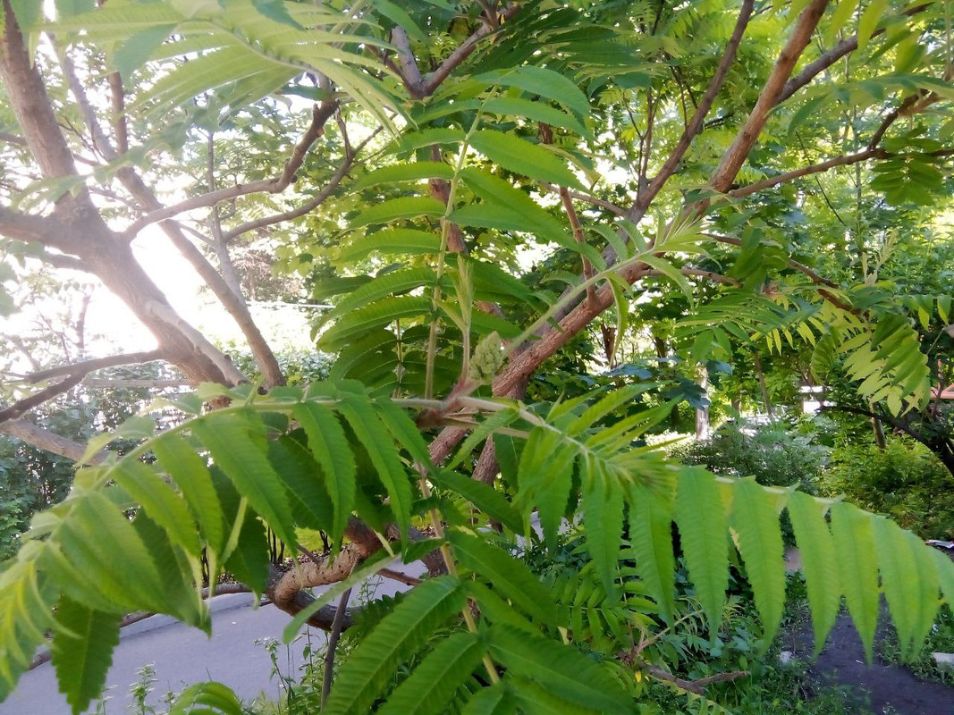 photo_2025-05-31 5.25.06 пп