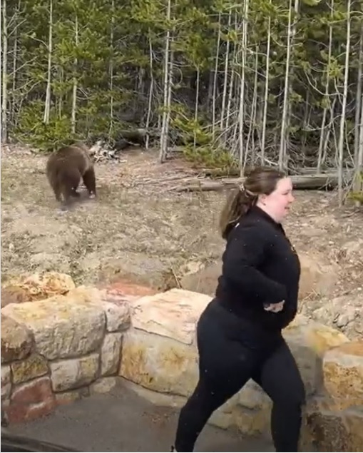 Unggahan pengelola Taman Yellowstone meminta warganet untuk menemukan turis wanita tersebut.