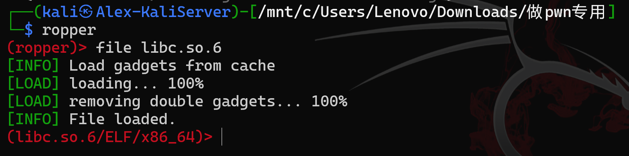 屏幕截图 2025-02-27 130227