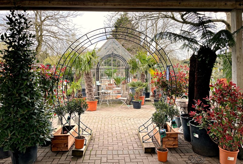 plants-2-GC-HD.jpg