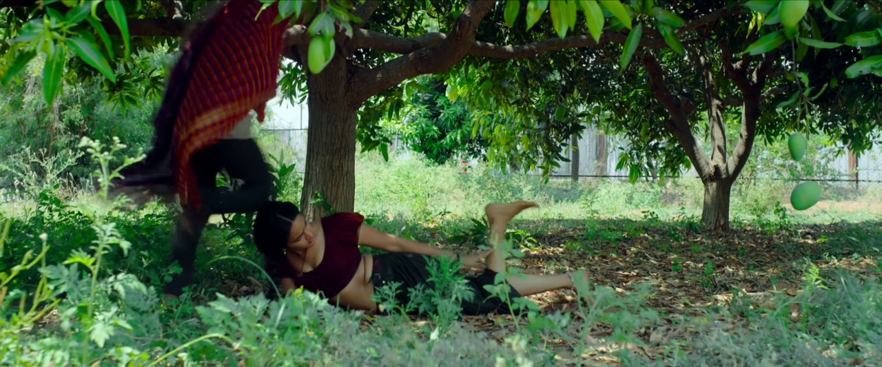 vlcsnap-2024-01-13-14h43m58s291