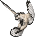 100192153-normal.png