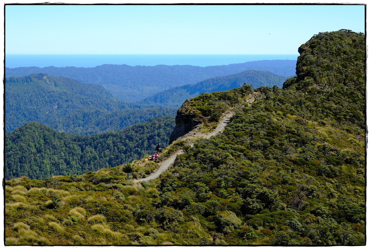 Paparoa NP: Paparoa Track (diciembre 2024) - Escapadas y rutas por la Nueva Zelanda menos conocida (33)
