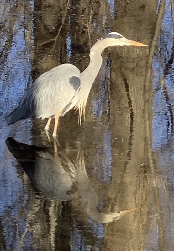 3693E493-B468-4768-A90C-541AC2D284E2