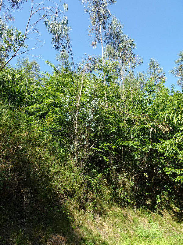 DSC02068