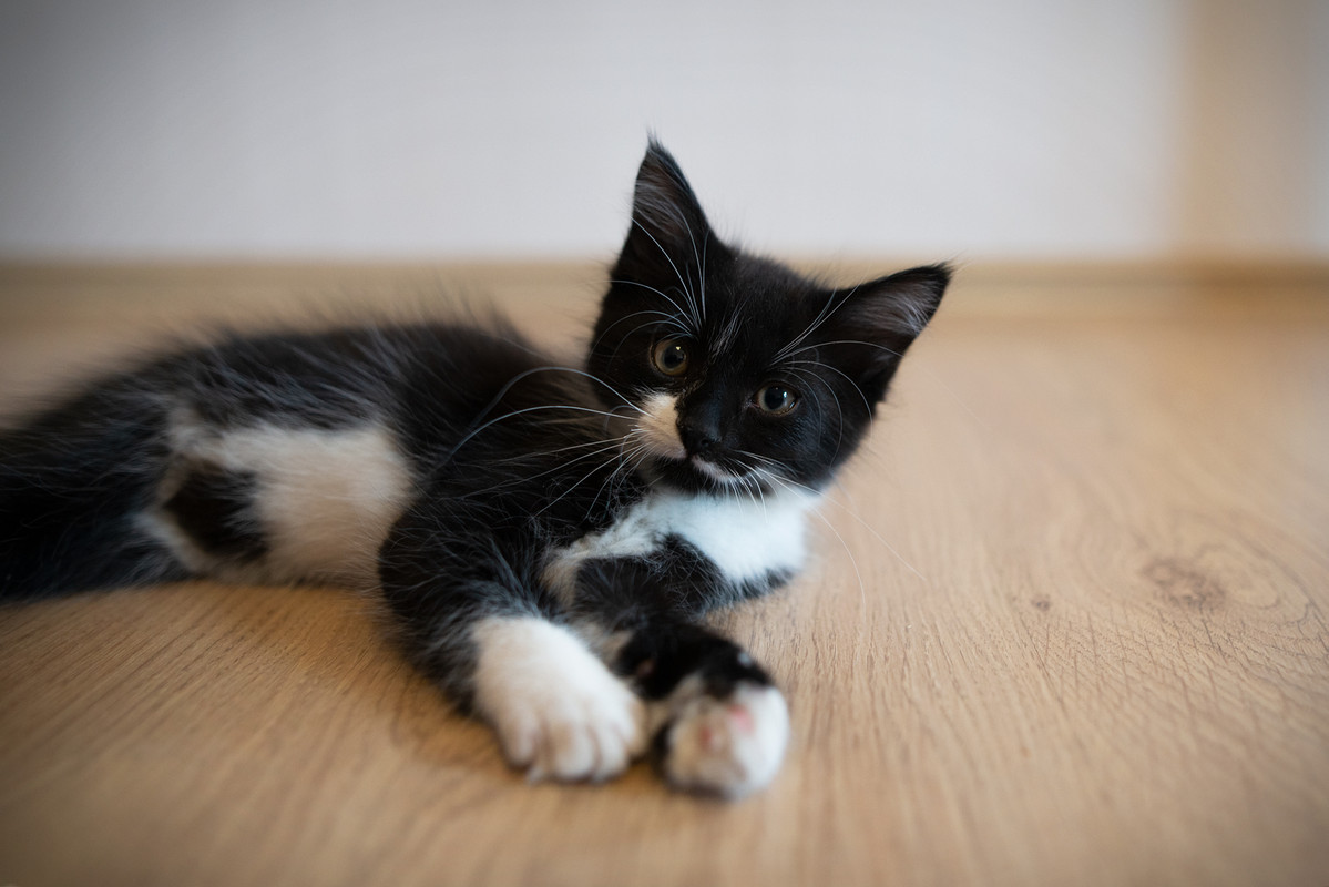 95AB1CFB-A1E5-4405-A126-13CE0F4811FE