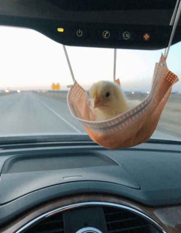 3409834игеррге