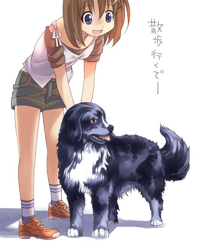 yagami-hayate-and-zafira-lyrical-nanoha-and-2-more-drawn-by-kouno-hikaru-725de11508ecdbba56c6442a