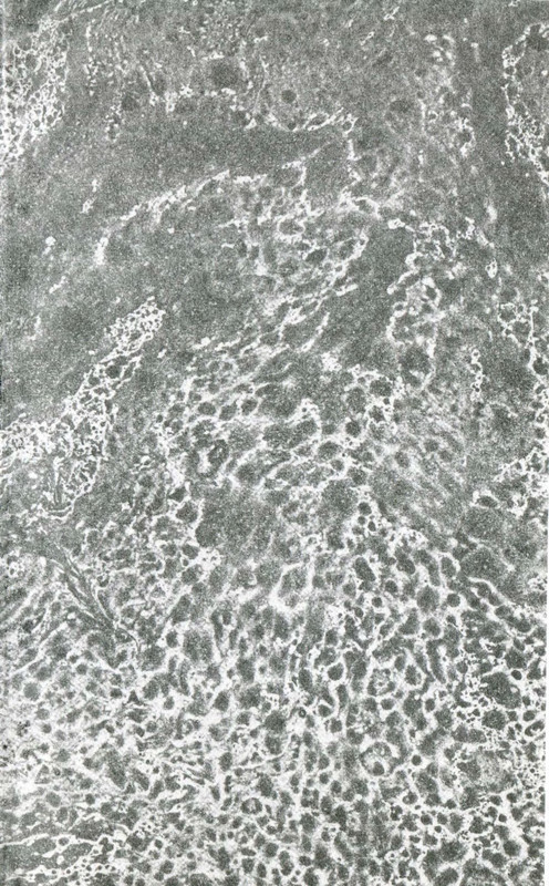 p0003