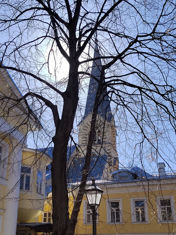 https://i.postimg.cc/pdcQGLD0/001-IMG-20250403-120439.jpg