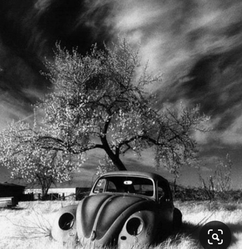 Screenshot_20230412_191427_Pinterest