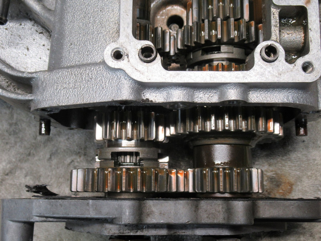 Harley transmission side cover removal lasemweek