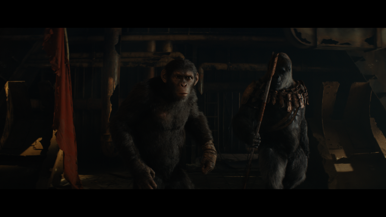 Kingdom-of-the-Planet-of-the-Apes-DV-3